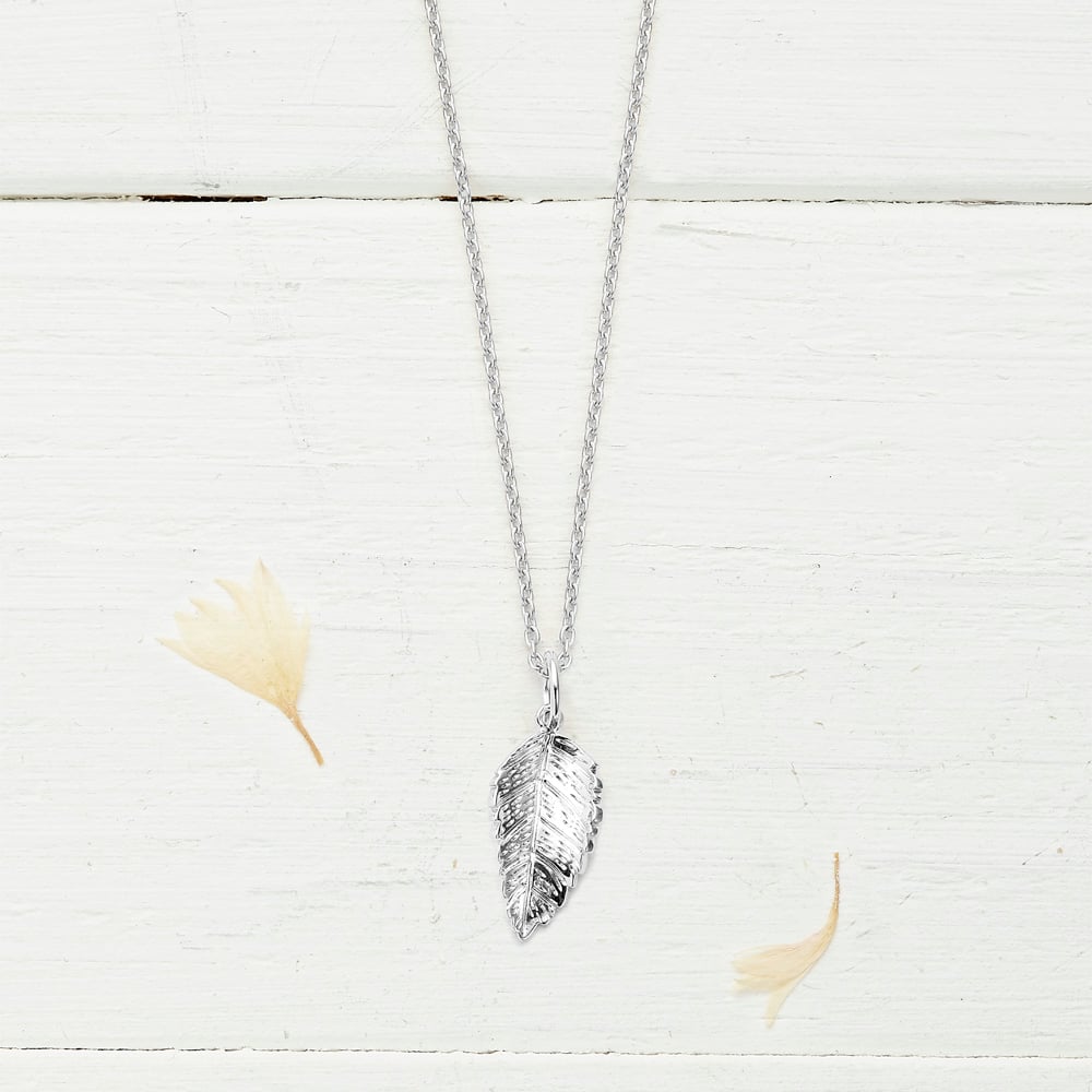 Woodland_Silver_leaf_1000x1000_1857979