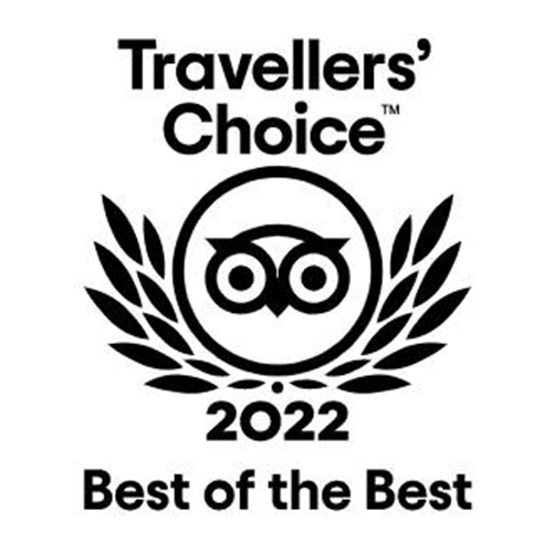 cornwall gold awards logo trip advisor 2022