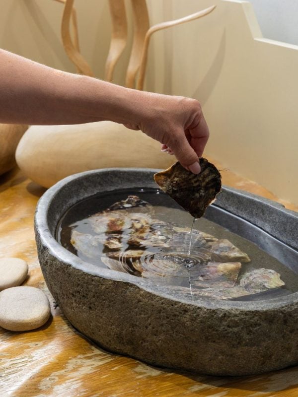 photo of person picking up their chosen oyster from the oyster pool